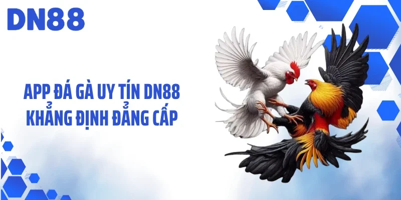 App đá gà uy tín DN88 khẳng định đẳng cấp